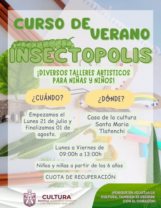 🎨🦋 Curso de Verano #INSECTOPOLIS