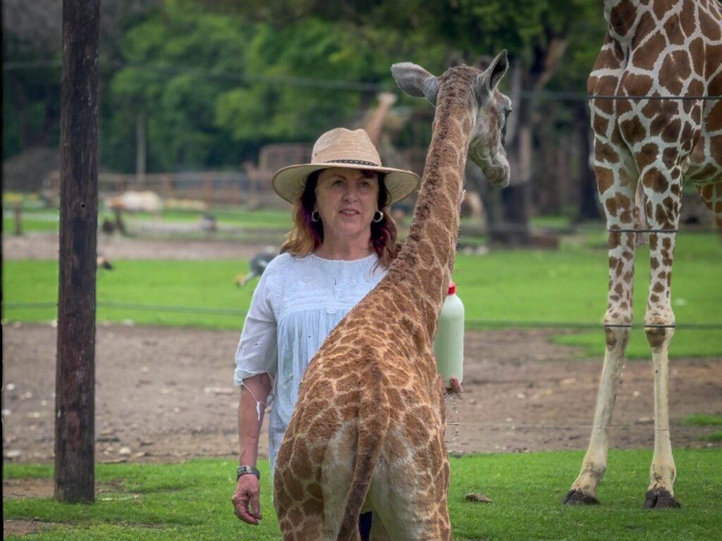 🦒💚 ¡Nuestra Jirafita ya tiene nombre!